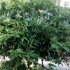 天恩消防的头像