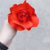 幸福不打烊（忙）的头像