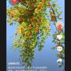 星河展翅的头像