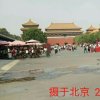 英姐的头像