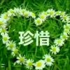LeMbi|eLEⅩ728的头像