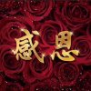 疯格的头像