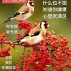 马文康感恩有你的头像