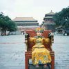 沸腾的头像