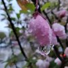 十指扣【拒无聊私信】的头像