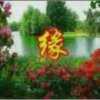 好人常在的头像