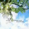 淡然一笑的头像