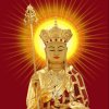 钛镁合金的头像
