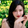飞翔的燕子的头像