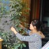 感恩有你的头像