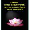九八灵的头像