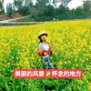 全新的我的头像
