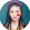 芦苇海的头像