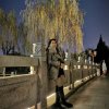双子琉璃锁的头像