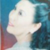 兰兰的头像