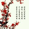 南飞雁的头像