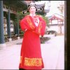 飞的头像