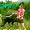 张姐的头像