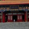 缘的头像
