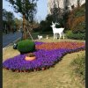 阿兵的头像
