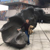 顺其自然的头像