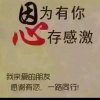 前世缘的头像