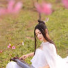 含笑花蕊的头像
