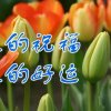 百合花的头像