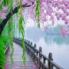 细雨霏霏的头像