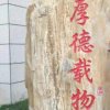 天涯何处无芳草的头像