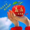 晶（为保护视力已退出）的头像