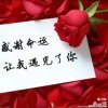 寂寞的头像