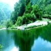 走自己路的头像