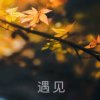 随缘的头像