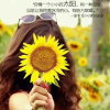 向阳花的头像