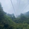 玫瑰兰的头像