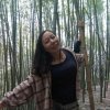 挂帅的头像