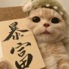 浅崽吖。的头像