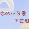 停在这一秒的头像