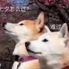云的头像