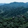 曦阳的头像