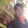 开 心 果的头像