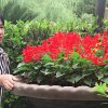 自由飞翔万事如意的头像