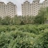 知足可好的头像