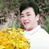 无型飞碟的头像