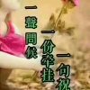 爱要坚强的头像