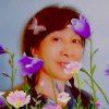 jin芬的头像