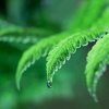  独一  的头像