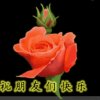 谁懂wǒ的头像