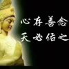 海洋里D的头像